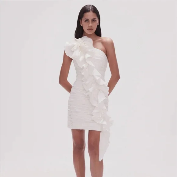 knee length dresses for ladies Aje